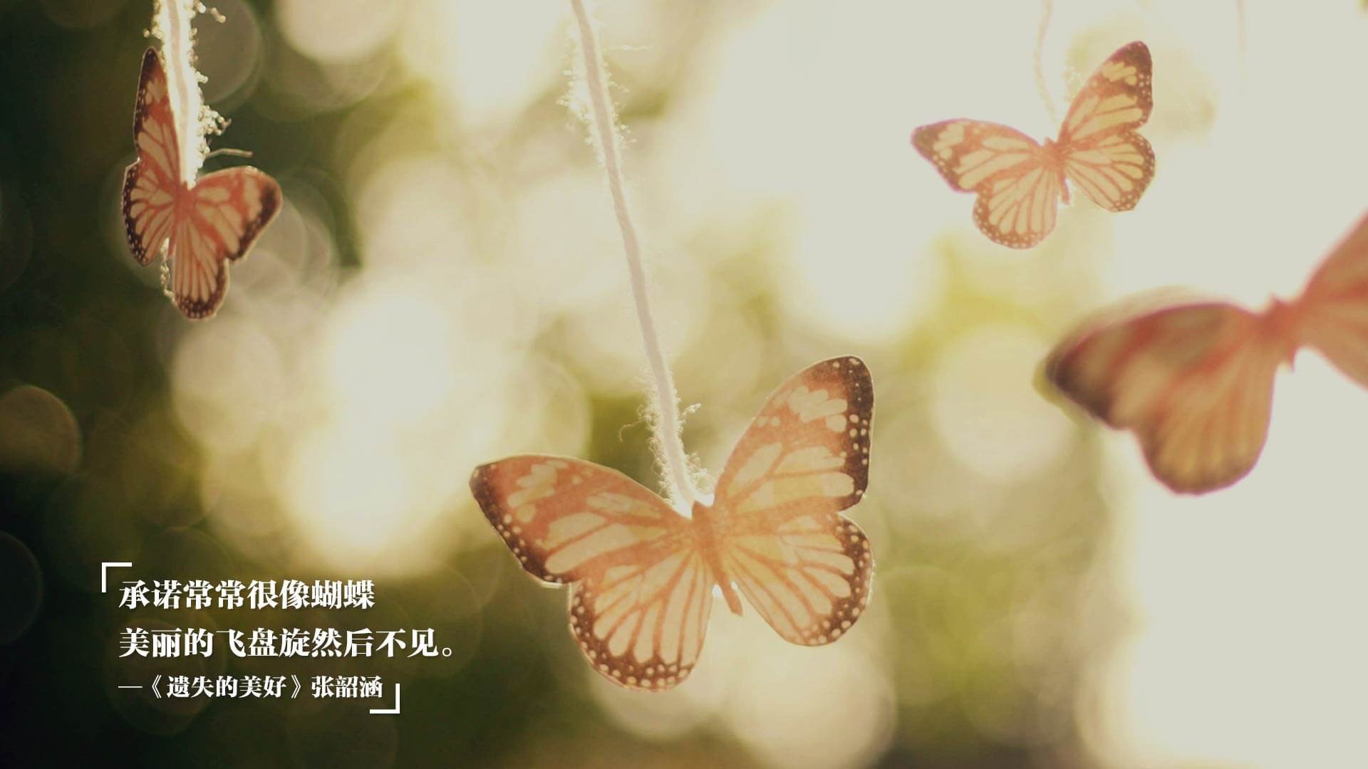 隔空对决，公牛险胜夜的字母哥宣言