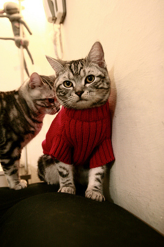 冰与火之歌,火箭封锁鹈鹕天空,约基奇终成关键先生