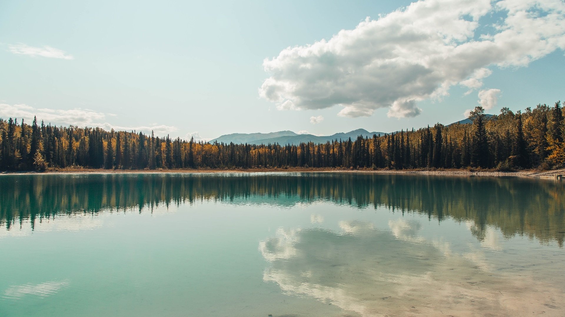 踏碎金州余晖,38岁保罗末节17分奇才逆转太阳,年度焦点战封神