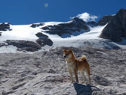 跨联赛友谊赛惊天逆转!浓眉绝境三分定乾坤,开拓者险胜新疆队