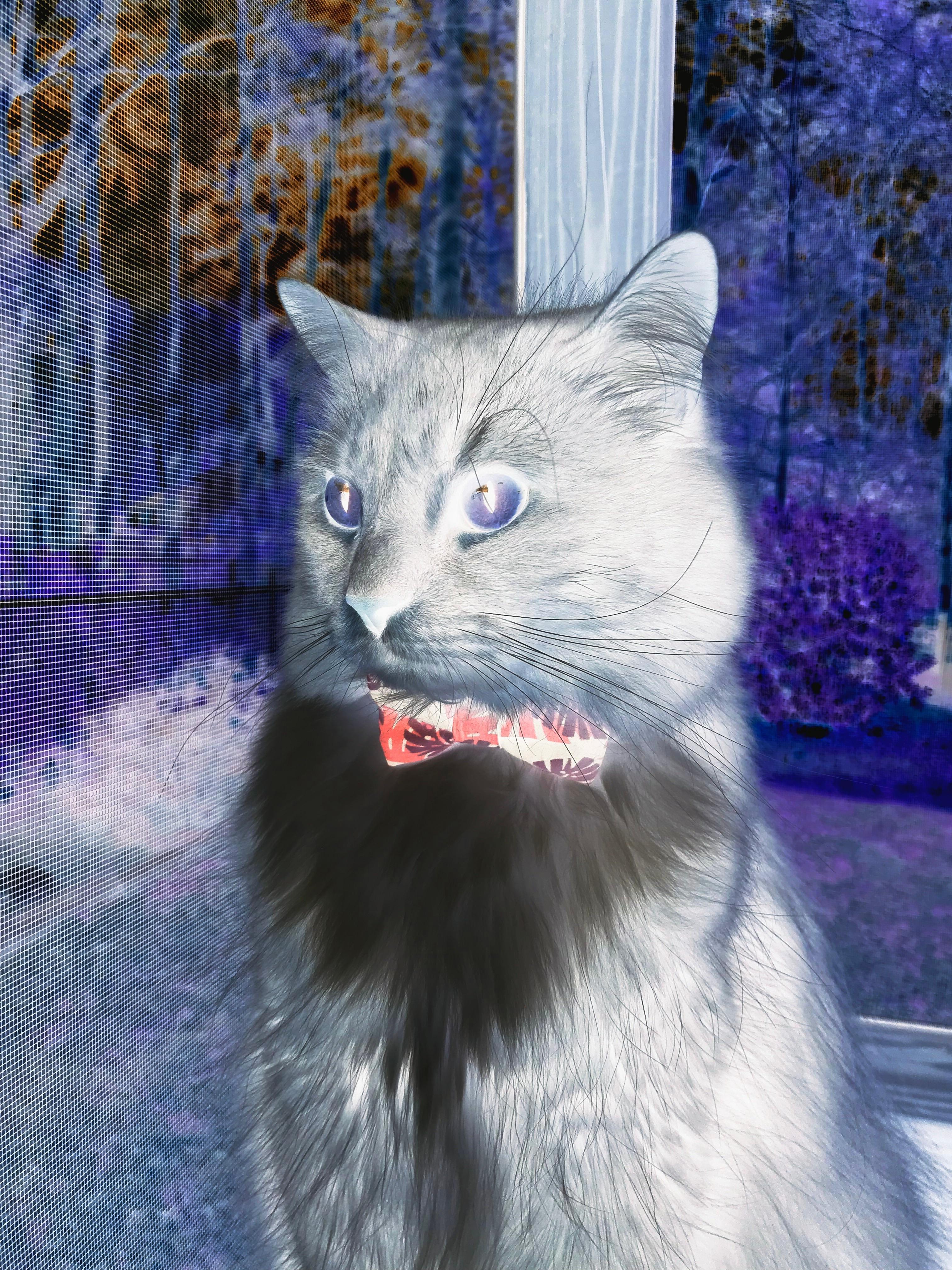 拉文42分惊天神迹难救主，奇才加时负鹈鹕的悲情英雄战