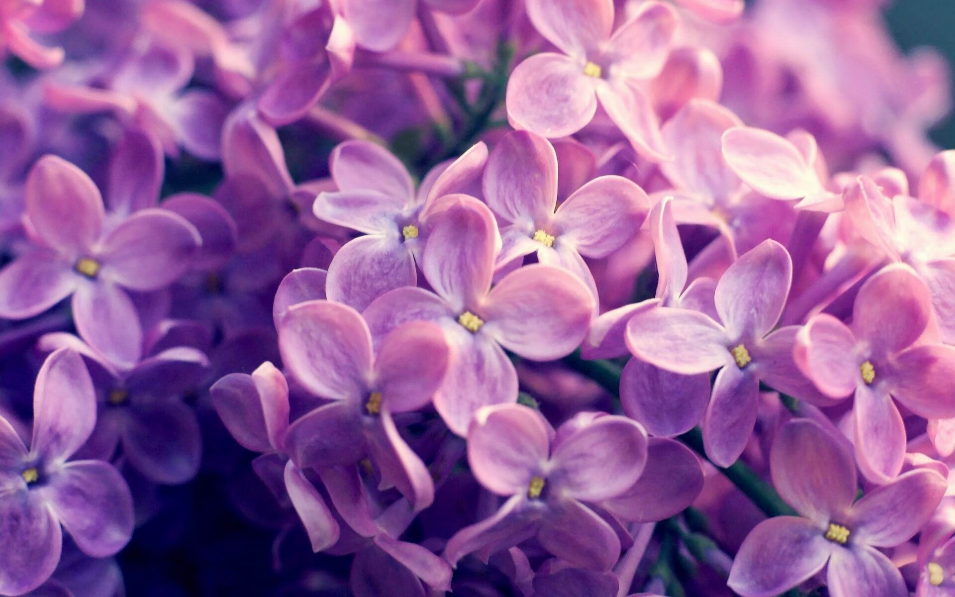 冰与火的转写，卢卡库枢纽与冰岛意志逆转绿茵方程式