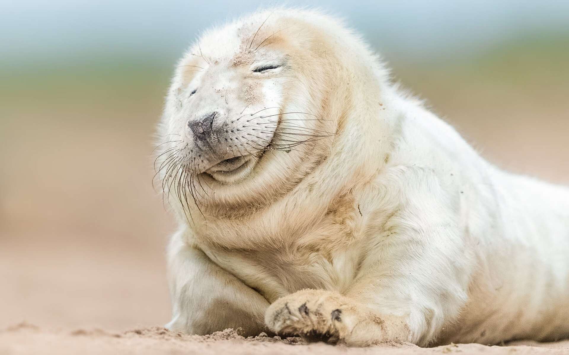 亚特兰大碾压夺冠，阿尔瓦雷斯金球定义新传奇