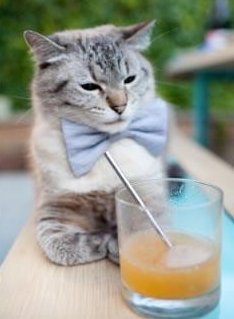 维京图腾与桑巴闪电，体育炼金术如何点化凡铁为黄金