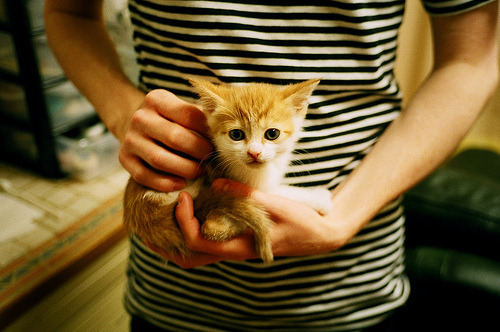 冷焰与岩浆，当马德里的精密齿轮，遇见亚平宁的炽热流星