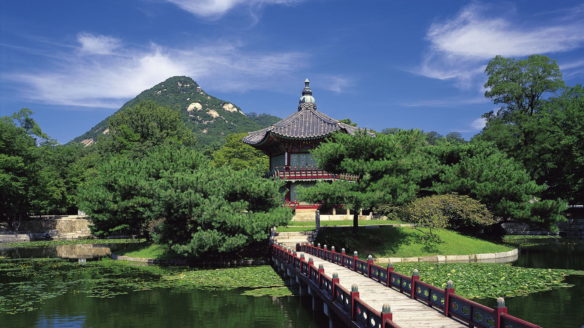 爱游戏体育-巴斯托尼的哈马马特弧线，当无名小卒为突尼斯射落南美罗马